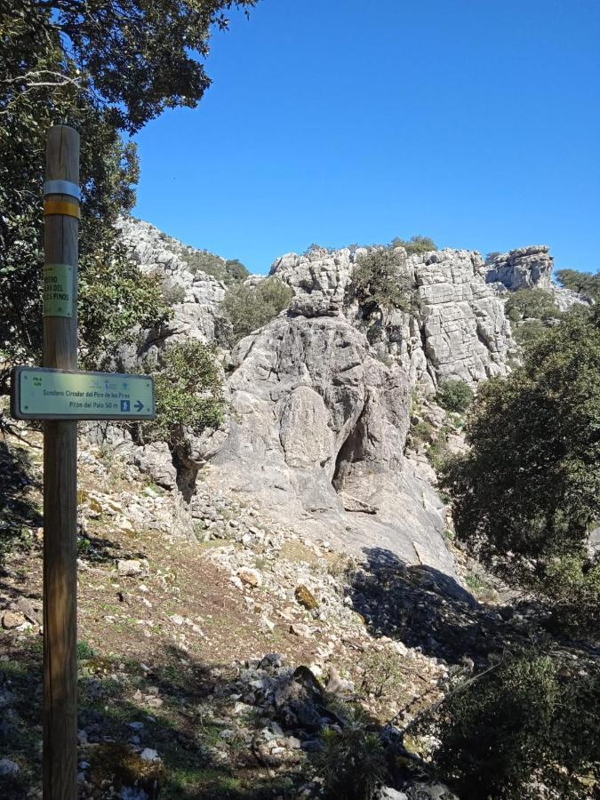 Pension La Sierra Cortes de la Frontera Exteriér fotografie