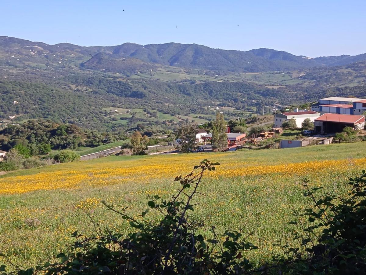 Pension La Sierra Cortes de la Frontera Exteriér fotografie